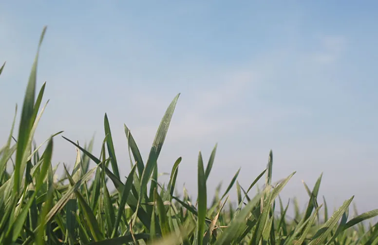 Le climat du mois : mai 2020 conclut un printemps très chaud
