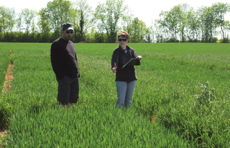 Bilan agro-économique de la protection intégrée pour les ravageurs