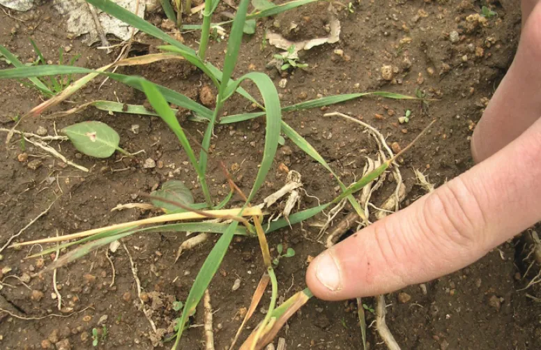 Réussir le changement des pratiques agricoles