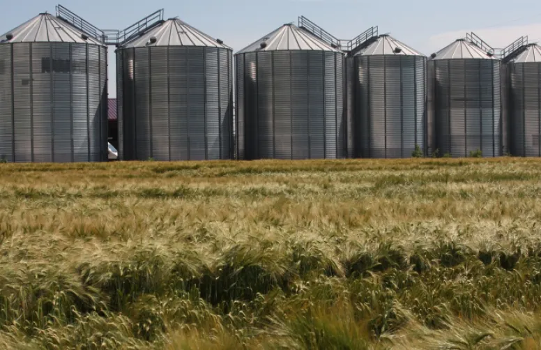 Les chiffres de la production française et du marché des orges