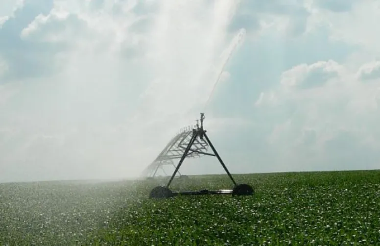 Maximiser le rendement avec l'irrigation du maïs