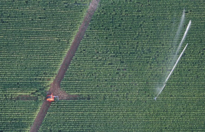 Les besoins en irrigation augmentent