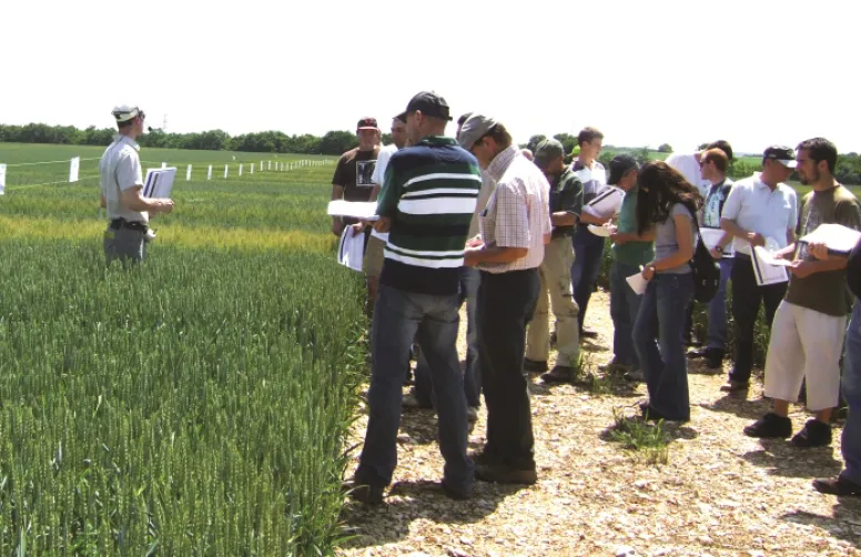 Des systèmes innovants pour réduire les produits phytosanitaires.