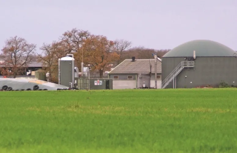 Abaisser le coût de production par un rendement élevé des CIVE