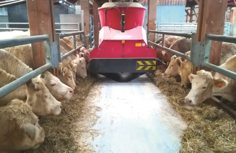 Engraissement et valorisation des vaches Charolaises de réforme