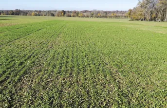 Les tendances climatiques de ces vingt dernières années montrent qu’en un lieu donné, la date moyenne de semis d’une prairie devrait progressivement reculer.