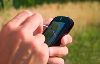 L’OAD gratuit « Choix des variétés de blé tendre » pour l’AB