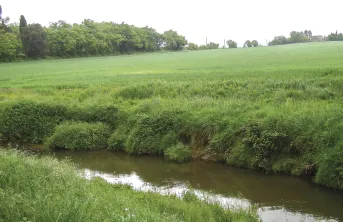 Le plan d’action permet de diviser par deux une concentration en nitrate dans les eaux souterraines.