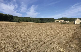 Les agriculteurs impliqués dans le GIEE des Cinq éléments des Sablons sont situés dans l’Oise, sur un territoire où cohabitent agriculture, forêt et habitations.
