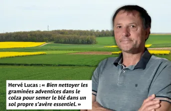 Hervé Lucas : « Bien nettoyer les graminées adventices dans le colza pour semer le blé dans un sol propre s’avère essentiel. »