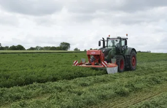 Conseils pour faucher un couvert permanent de légumineuse : guidage RTK, réglage & largeur des outils, adventices à éviter, choix de la culture, choix de l'espèce du couvert