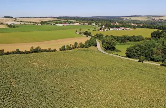 Dans les zones intermédiaires où le risque de dégradation des performances des cultures d’hiver est fort, l’introduction de tournesol contribue à l’amélioration des performances globales du système de culture.