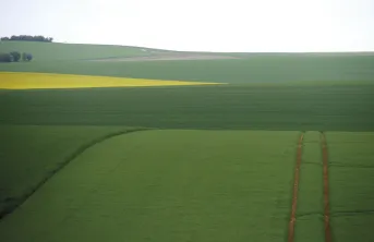 La ferme-type « Plateaux de Bourgogne » est représentative des exploitations situées sur les plateaux de Bourgogne, à faible potentiel, et de leurs pratiques agricoles : rotation colza-blé-orge, fertilisation, non labour, matériels...