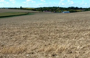 Caractéristiques de la ferme fictive représentative du secteur des plateaux de Bourgogne