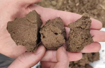 Il est essentiel d’observer son sol pour déterminer s’il est tassé. De gauche à droite : tassement sévère, tassement modéré avec présence de porosité biologique, sol poreux.