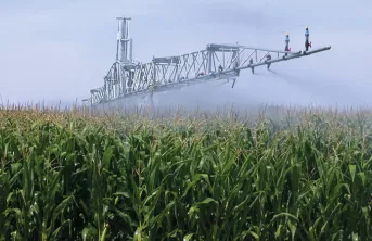 L'irrigation de précision du maïs grain et fourrage
