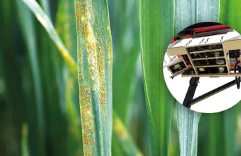 Les capteurs photoniques à la ferme