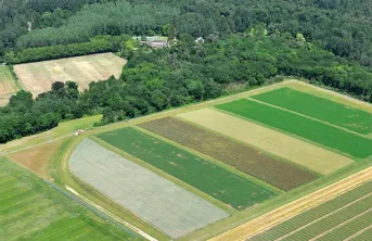 Conduire les cultures en AB sans apport d'engrais azoté