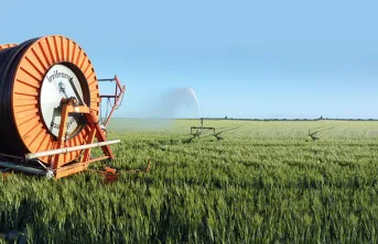 Bénéfices et inconvénients de l'irrigation des céréales à paille