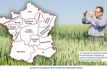 Recommandations régionales pour le choix des variétés de blé tendre