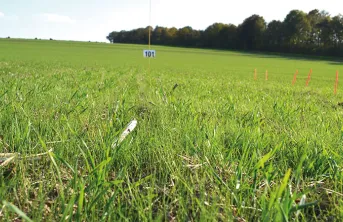 Quels seraient les effets d'une réduction des herbicides disponibles