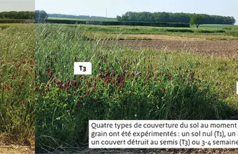 Impact d'un couvert sur la disponibilité en eau