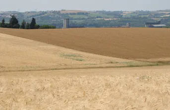 Scénarios d'adaptation au changement climatique dans le Sud-Ouest