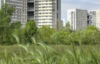 Evolutions réglementaires de l'usage des produits phytosanitaires