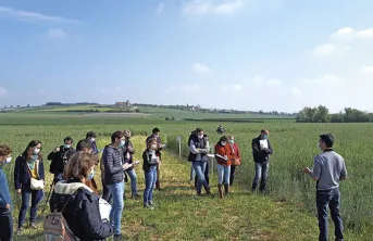 Introduire des CIVE en systèmes céréaliers des zones intermédiaires