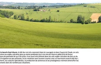 Où cultive-t-on du blé dur en France ?