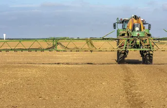 Ray-grass : la maîtrise durable passe par la combinaison de leviers