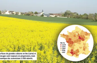 Le point sur l'état du marché des grandes cultures bio