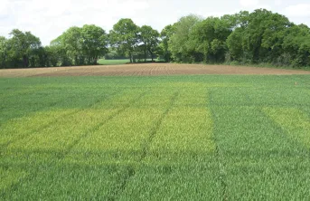 Comportement des variétés de blé tendre inscrites en 2022