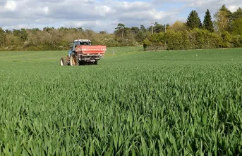 Variétés de blés améliorants : les besoins en azote à prendre en compte en 2023