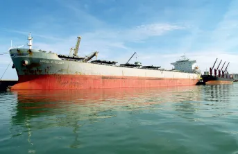 Malgré une montée en puissance de la mer Noire, le blé français tient son rang sur le marché algérien