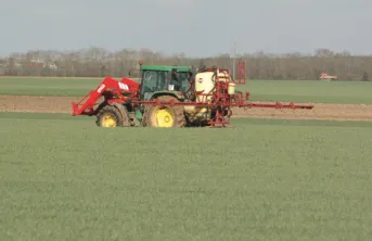 Diagnostiquer et prévenir la présence de la fusariose sur maïs grain