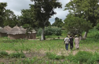 Les multiples services agricoles de l'arbre