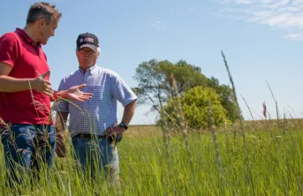 Les atouts des céréales pérennes