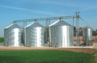Stockage des grains: pratiques à la ferme et voies d'amélioration