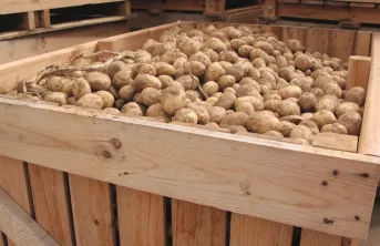Sécuriser & insonoriser les locaux de stockage des pommes de terre