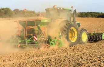 Bilan de campagne « Céréales à paille » 2019 : un bon cru aux causes inattendues