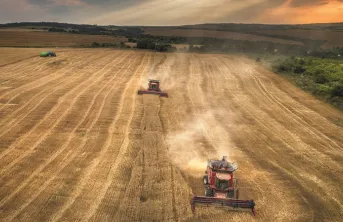 L’agriculture en Amérique Latine : une agriculture en pleine expansion