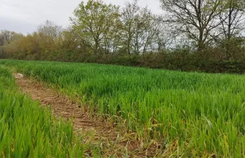 Interview: Pascale Métais, ingénieure agronome d'Arvalis