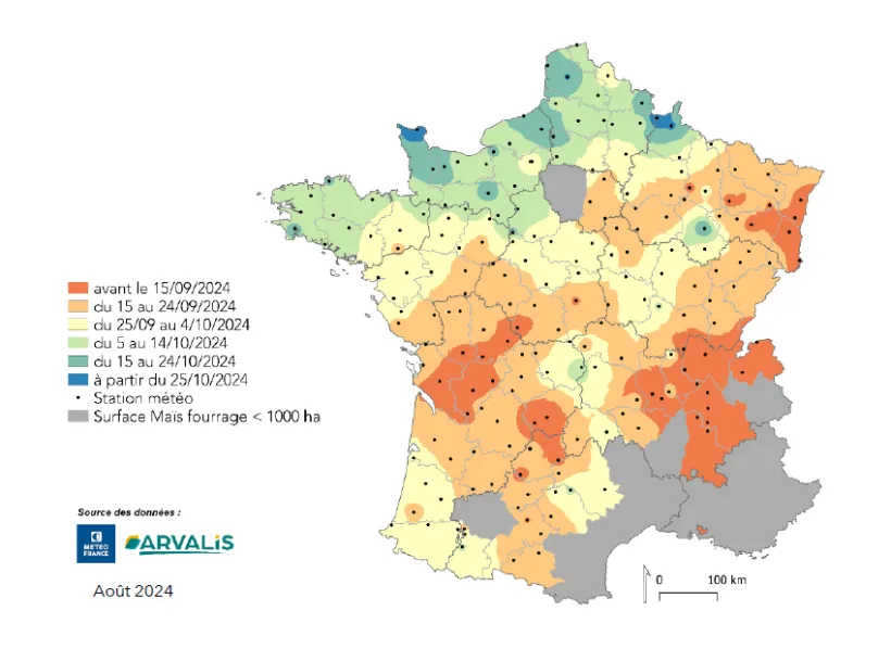 Carte 2 : Estimation au 12/08//2024 de la date de récolte en France pour le deuxième créneau de semis 2024. (Utilisation des données météo médianes.)