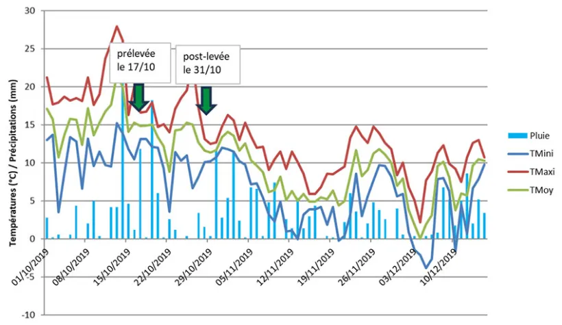 Afin de comparer une situation correctement semée (bien enterrée) à une situation plus difficile, quelques modalités ont été mises en place sur orge d’hiver, à Chouday (36) à l’automne 2019, un automne pluvieux.  Le semis a été réalisé sur un sol labouré, derrière lentille, le 11 octobre, avec la variété Etincel, en bonnes conditions. Pour trois modalités, l’essai a volontairement été semé avec une moindre pression sur les socs, aboutissant à la présence de grains en surface ou juste sous la surface. L’idée