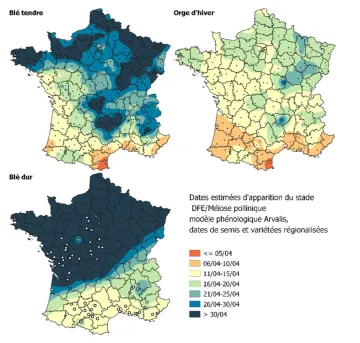Carte 4 : Dates estimées d’apparition du stade Dernière Feuille Etalée / méiose pollinique pour différentes céréales d'hiver - modèle phénologique ARVALIS, dates de semis et variétés régionalisées