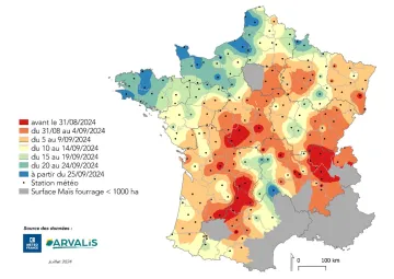 Carte 1 : Estimation de la date de récolte en France pour le premier créneau de semis 2024, au 26/07/2024 (utilisation des données météo médianes)