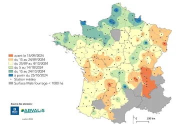 Carte 2 : Estimation de la date de récolte en France pour le second créneau de semis 2024, au 26/07/2024 (utilisation des données météo médianes)