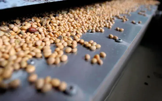 En 2023-2024, 2,8 millions de tonnes de soja ont été consommées par l’ensemble du cheptel français, dont une très faible partie issue de surfaces potentiellement déforestées ou converties.