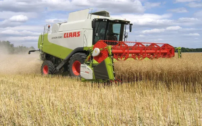 L’ajout d’extensions de coupe ainsi que les efforts en sélection variétale pour limiter l’égrenage ont considérablement réduit les pertes lors de la récolte du colza. Pour autant, le bon réglage des engins ne doit pas être négligé.  
